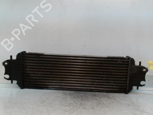 Intercooler RENAULT TRAFIC II Van (FL) 1.9 dCi 80 (FL0B) | BP28344993M30 
