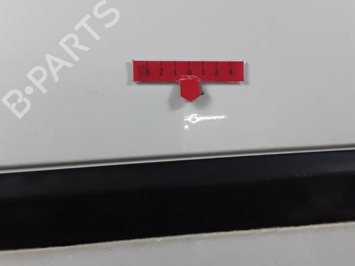 Left front door RENAULT CLIO III (BR0/1, CR0/1) 1.5 dCi (BR17, CR17) | BP28339339C2