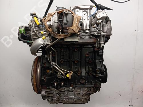 Engine RENAULT LAGUNA Coupe (DT0/1) 2.0 dCi (DT01, DT08, DT09, DT0K, DT12, DT1C, DT1D, DT1M,... | BP30650574M1 
