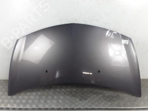 Used Hood RENAULT CLIO III (BR0/1, CR0/1) 1.5 dCi (BR17, CR17) (86 hp) 28338424