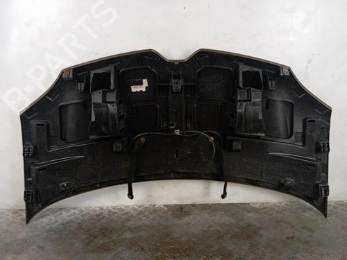 Hood RENAULT TWINGO III (BCM_, BCA_) 1.0 SCe 70 (BCMB) | BP28346082C1