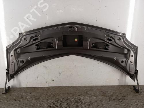 Hood RENAULT MODUS / GRAND MODUS (F/JP0_) 1.5 dCi (JP0G, JP0H) | BP29845072C1 