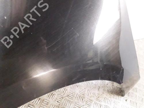 Used Left front fenders RENAULT SCÉNIC III (JZ0/1_) 1.5 dCi (110 hp) 28341758