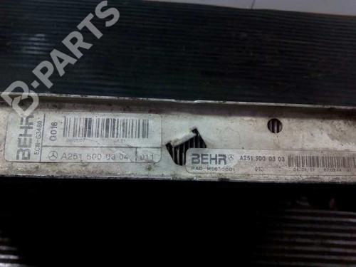 Water radiator MERCEDES-BENZ R-CLASS (W251, V251)  | BP2343861M31 