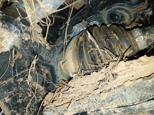 BP32470697M25 main image