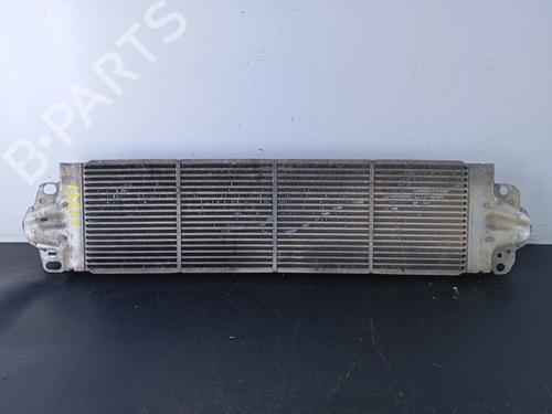 Intercooler VW MULTIVAN T5 (7HM, 7HN, 7HF, 7EF, 7EM, 7EN) 2.5 TDI | BP27650855M30 