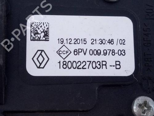 Pedal DACIA SANDERO II  | BP19083166I4 