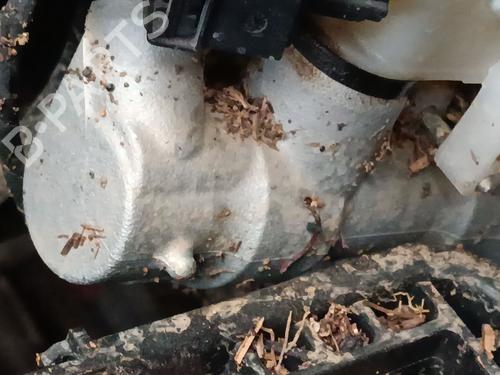 BP32670735M77 main image