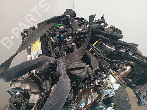 Engine BMW X4 (G02, F98) xDrive 20 d Mild-Hybrid | BP27623619M1