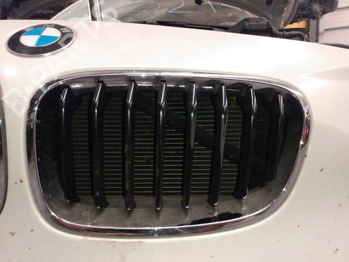 Used Grille BMW 1 (F21) 116 d (116 hp) 20676354