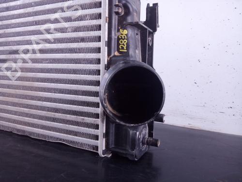 Intercooler RENAULT MEGANE IV Grandtour (K9A/M/N_)  | BP25742257M30 