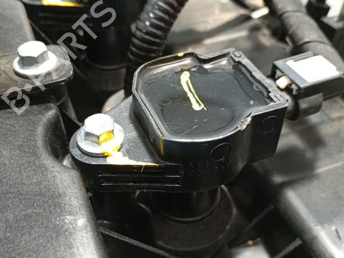 Engine FORD KUGA III (DFK)  | BP29113668M1 
