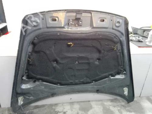 Hood VW TOUAREG (7LA, 7L6, 7L7) 3.0 V6 TDI | BP270704C1 