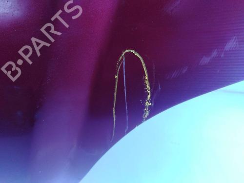 Hood KIA CARNIVAL II (GQ) 2.9 CRDi | BP6966690C1 