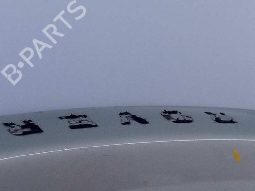 Hood LAND ROVER DISCOVERY III (L319) 2.7 TD 4x4 | BP5655106C1 