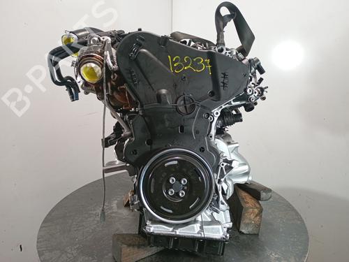 Moteur AUDI A4 B9 (8W2, 8WC) 30 TDI Mild Hybrid | BP30684582M1