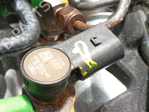 Motor FORD TRANSIT CUSTOM V362 Bus (F3) 2.0 EcoBlue | BP28383003M1 