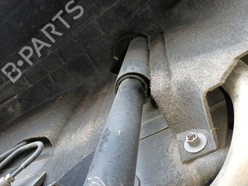 left-rear-shock-absorber-ford-fiesta-vi-cb1-ccn-2008-38559813 main image