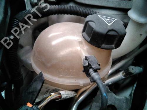 Expansion tank PEUGEOT 208 I (CA_, CC_) 1.6 BlueHDi 100 BP6682668C120
