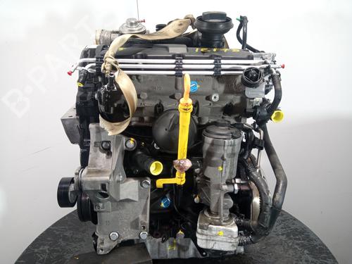 Używane Silnik SKODA FABIA II (542) [2006-2014]  17492007