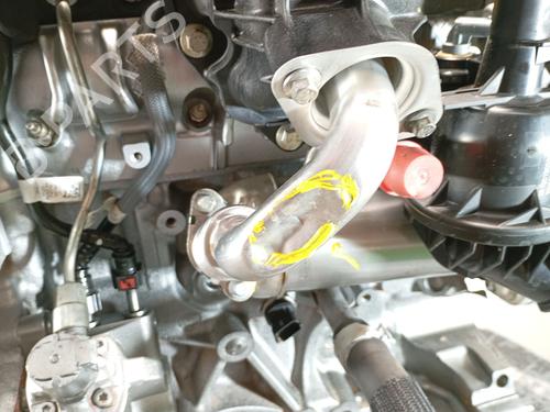 Motor FORD TRANSIT CUSTOM V362 Bus (F3) 2.0 EcoBlue | BP28383003M1 