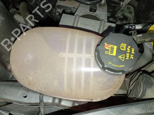 ekpansionstank-ford-kuga-ii-dm2-2012-31915940 main image