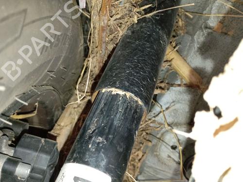 Used Right rear shock absorber Right rear shock absorber VW CADDY V Box Body/MPV (SBA, SBH) 2.0 TDi (102 hp) 33243804 33243804