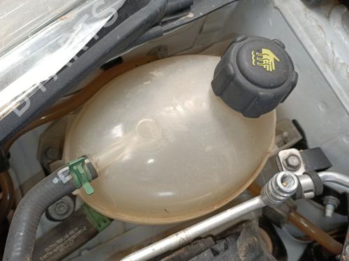 Used Expansion tank RENAULT CLIO IV (BH_) 1.5 dCi 75 (75 hp) 29125152