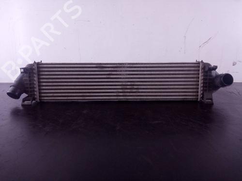 Used Intercooler FORD KUGA II (DM2) [2012-2025]  22399373