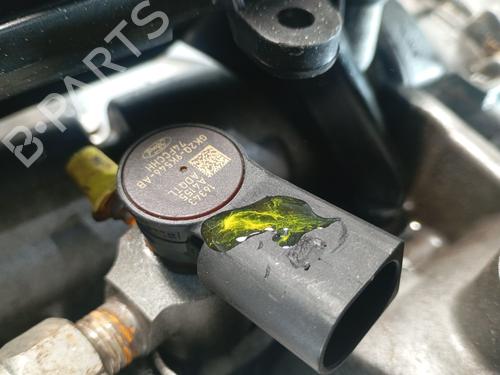 Engine FORD TRANSIT CUSTOM V362 Van (FY, FZ) | BP31665197M1