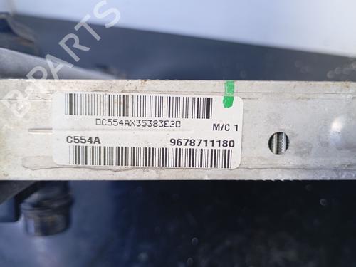 Køler DS DS 4 II (FR_, FB_, F3_) E-TENSE 225 (F3DGZT) | BP28140174M31 