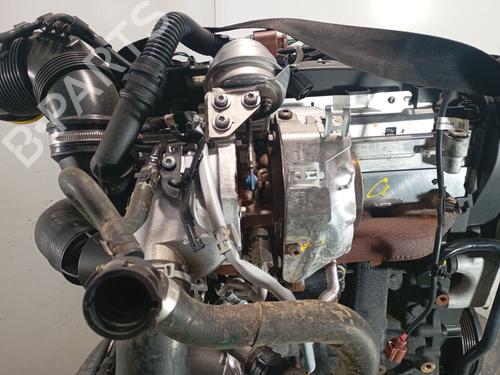 Engine SEAT IBIZA V (KJ1, KJG) 1.6 TDI | BP22183177M1