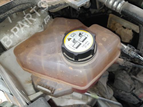 Expansion tank FORD TRANSIT COURIER B460 Box Body/MPV 1.5 TDCi BP24198957C120