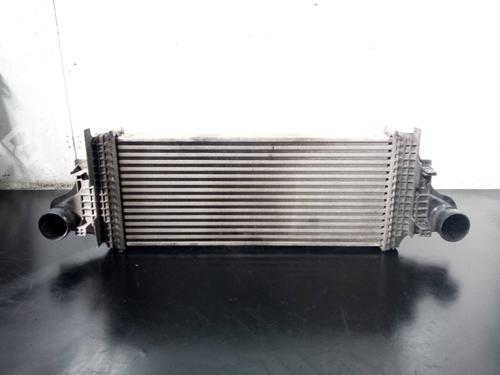 Intercooler MERCEDES-BENZ M-CLASS (W164) [2005-2012]  13021246
