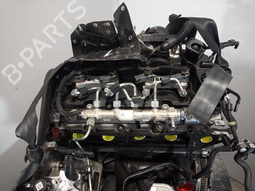 Engine VW TIGUAN (AD1, AX1)  | BP17522821M1 