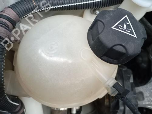 Used Expansion tank CITROËN C3 II (SC_) 1.2 VTi 82 (82 hp) 28046385