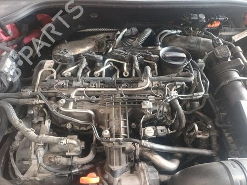 Brugte VW GOLF VI (5K1) 2.0 TDI (140 hp) 4248942