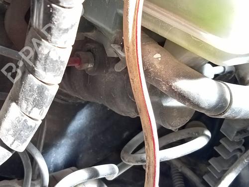 Used Brake master cylinder TOYOTA CELICA Coupe (_T23_) 1.8 16V VT-i (ZZT230_, ZZT230) (143 hp) 10772860