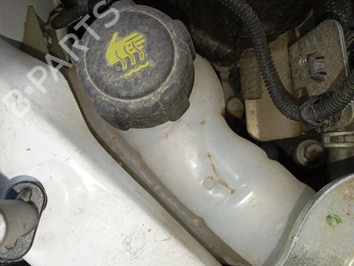 Used Expansion tank RENAULT KADJAR (HA_, HL_) 1.5 dCi 110 (HLA3) (110 hp) 32090435