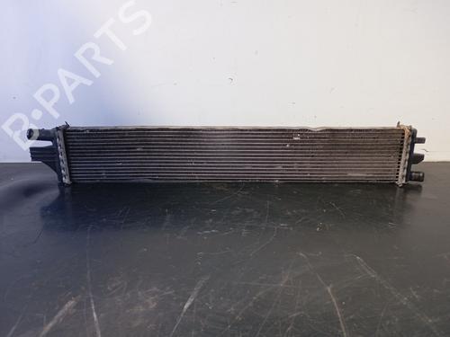 Used Water radiator RENAULT MASTER III Van (FV) [2010-2025]  28140442