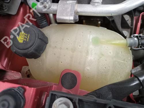 Used Expansion tank RENAULT CAPTUR II (HF_) E-TECH 160 (158 hp) 31096455