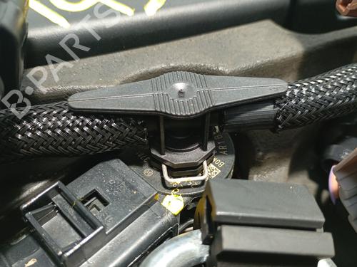 Engine VW TIGUAN (AD1, AX1) 2.0 TDI | BP31249629M1 