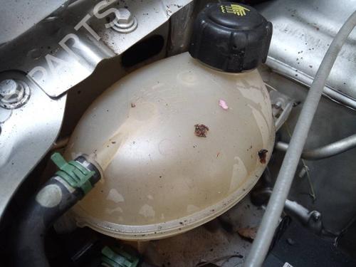 Used Expansion tank DACIA SANDERO II 1.2 (75 hp) 10394191