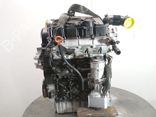 Motor VW CADDY III MPV (2KB, 2KJ, 2CB, 2CJ) 1.9 TDI (75 hp) 29313996