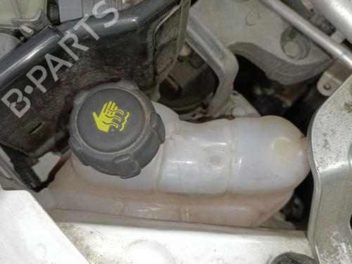 Used Expansion tank RENAULT KADJAR (HA_, HL_) 1.6 dCi 130 (HLA4) (130 hp) 32090493