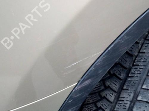 Left front fenders NISSAN QASHQAI / QASHQAI +2 I (J10, NJ10, JJ10E) 1.5 dCi | BP9423978C41 