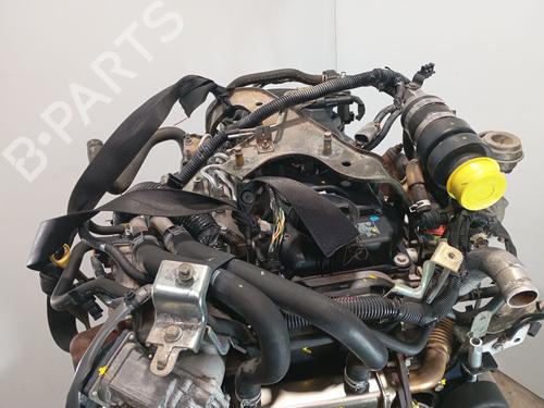 Engine NISSAN PATHFINDER III (R51) 2.5 dCi 4WD | BP35723454M1 - Image 10