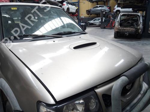 Hood NISSAN TERRANO II (R20)  | BP13582406C1 