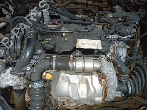 Right front fenders FORD FOCUS III 1.6 TDCi | BP32395786C42 