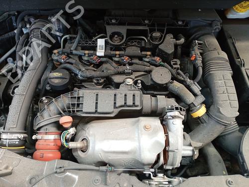 Rear right seatbelt OPEL CROSSLAND X / CROSSLAND (P17, P2QO) 1.5 Turbo D (75) | BP30616253I28